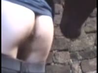 Horse dick destroying the anus of gay whore